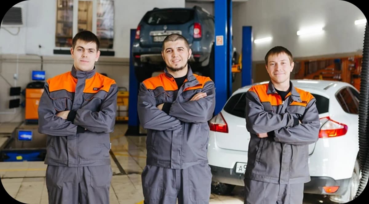 Professional team members