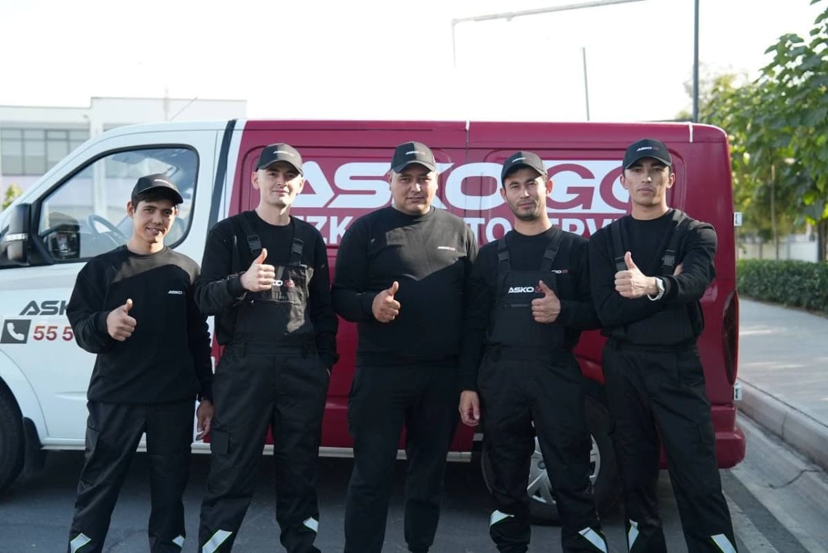 Профессиональные члены команды